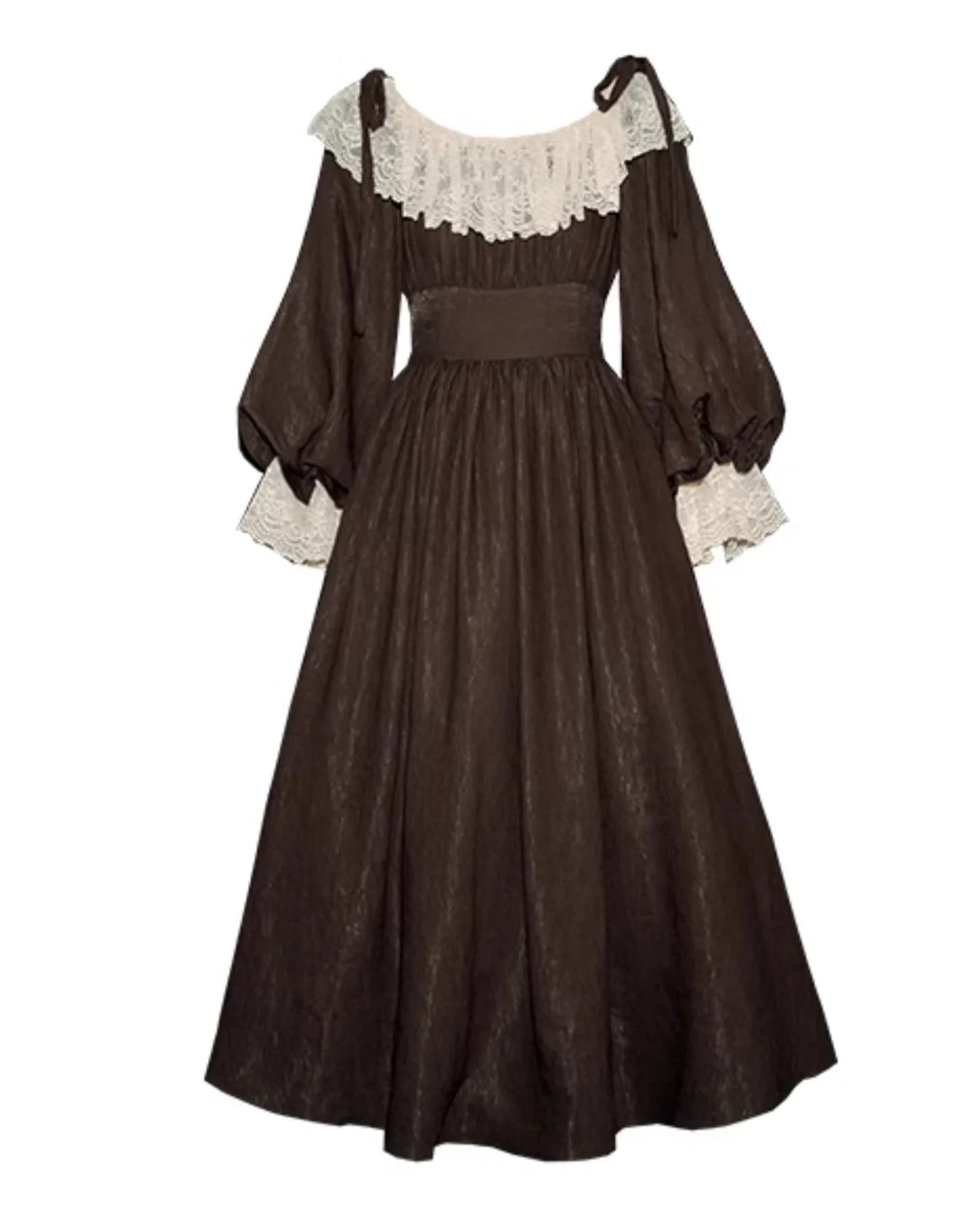 Vintage Victorian Style Lace Collar Dress
