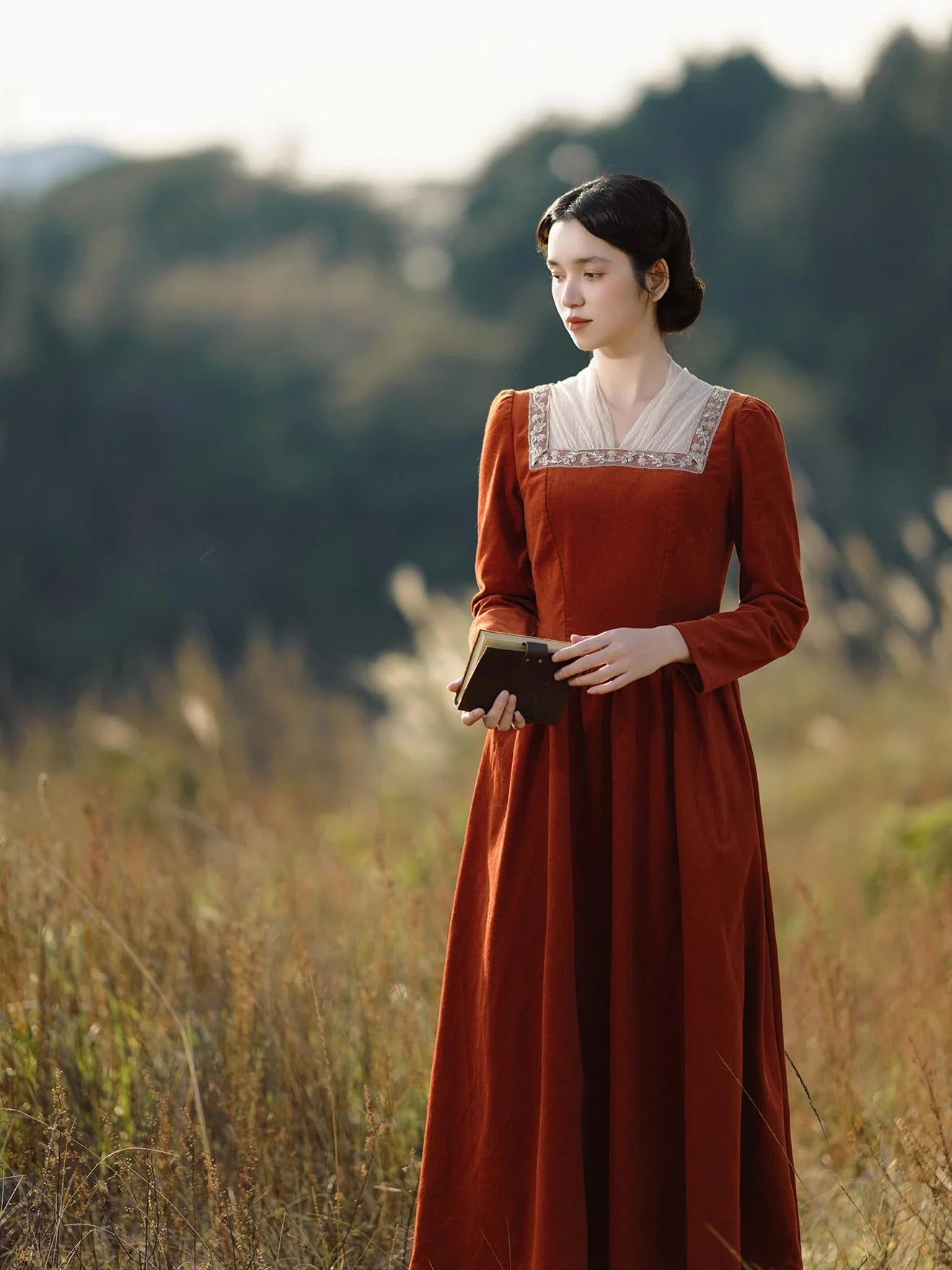 Royalcore Square Collar Dress
