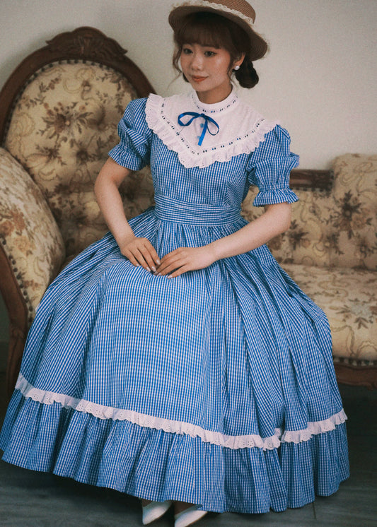 Alice in Wonderland Blue Gingham Tea Dress