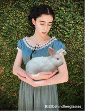 Load image into Gallery viewer, Period Drama Inspired Vintage Blue Prairie Dress
