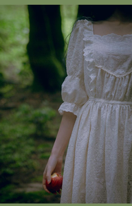 Vintage Victorian Style Handmade Embroidery Cotton Chemise Dress