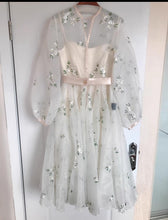 Load image into Gallery viewer, Handmade Movie Inspired Vintage Dreamy Princess Embroidery Dress

